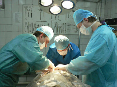 Торакальная хирургия